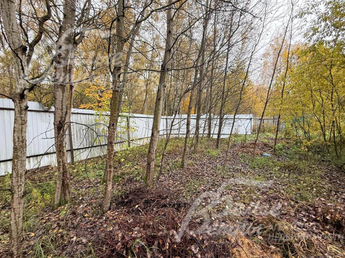Участок, примыкающий к лесу, с естественным подлеском на территории