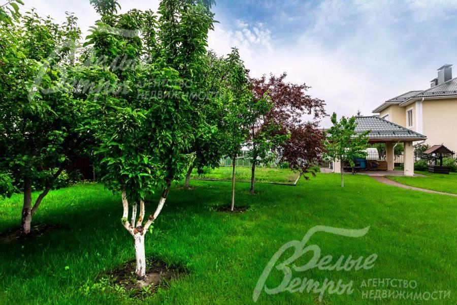 Плодовые деревья