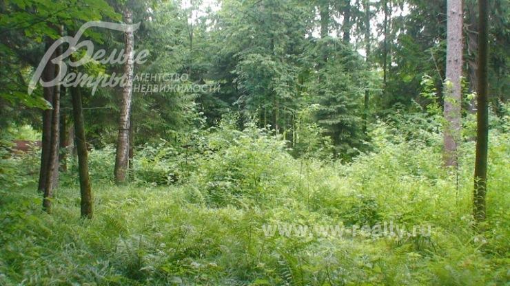 Лесной участок 30 соток на Калужском шоссе