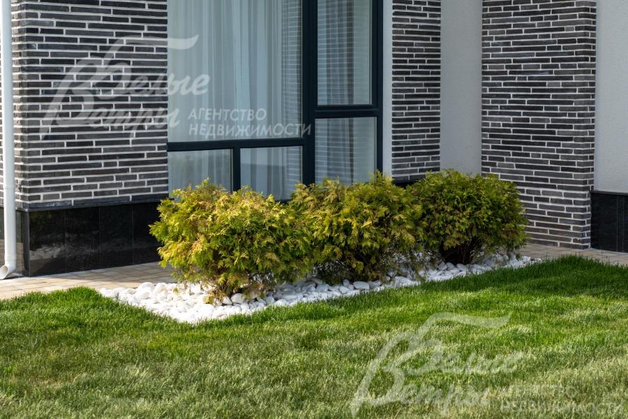 На участке высажены декоративные кустарники