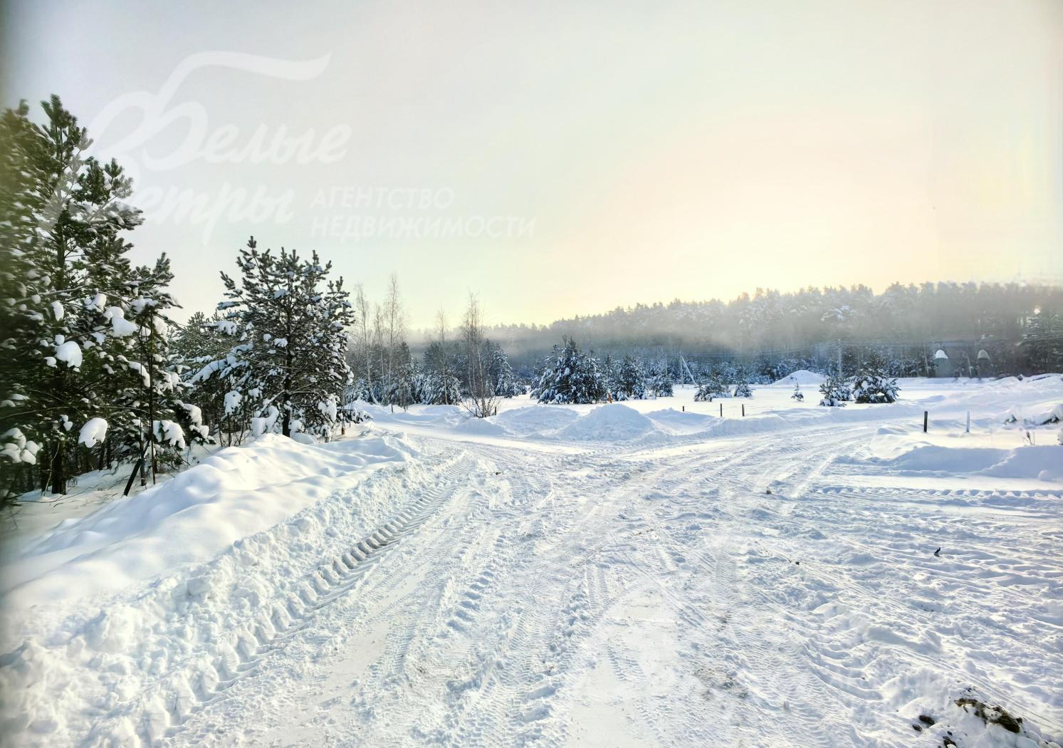 Вид с участка на лес