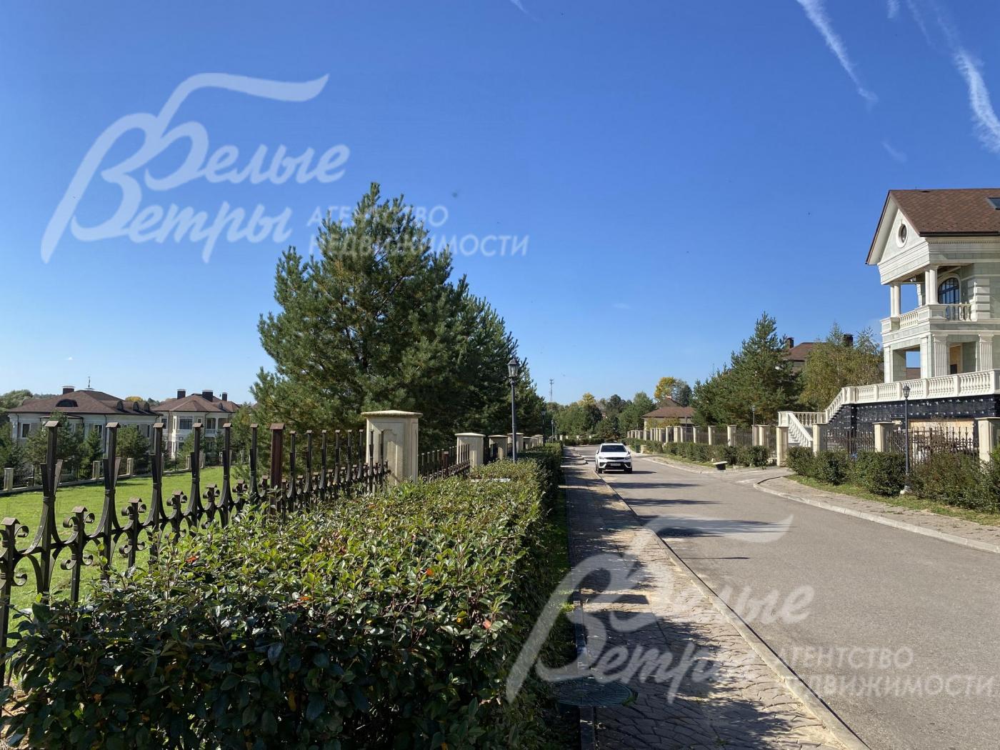 Живая изгородь вдоль забора 