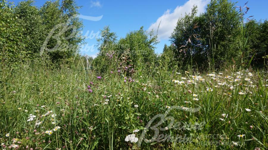 Участок 10 соток со всеми коммуникациями в КП Цветочная Долина