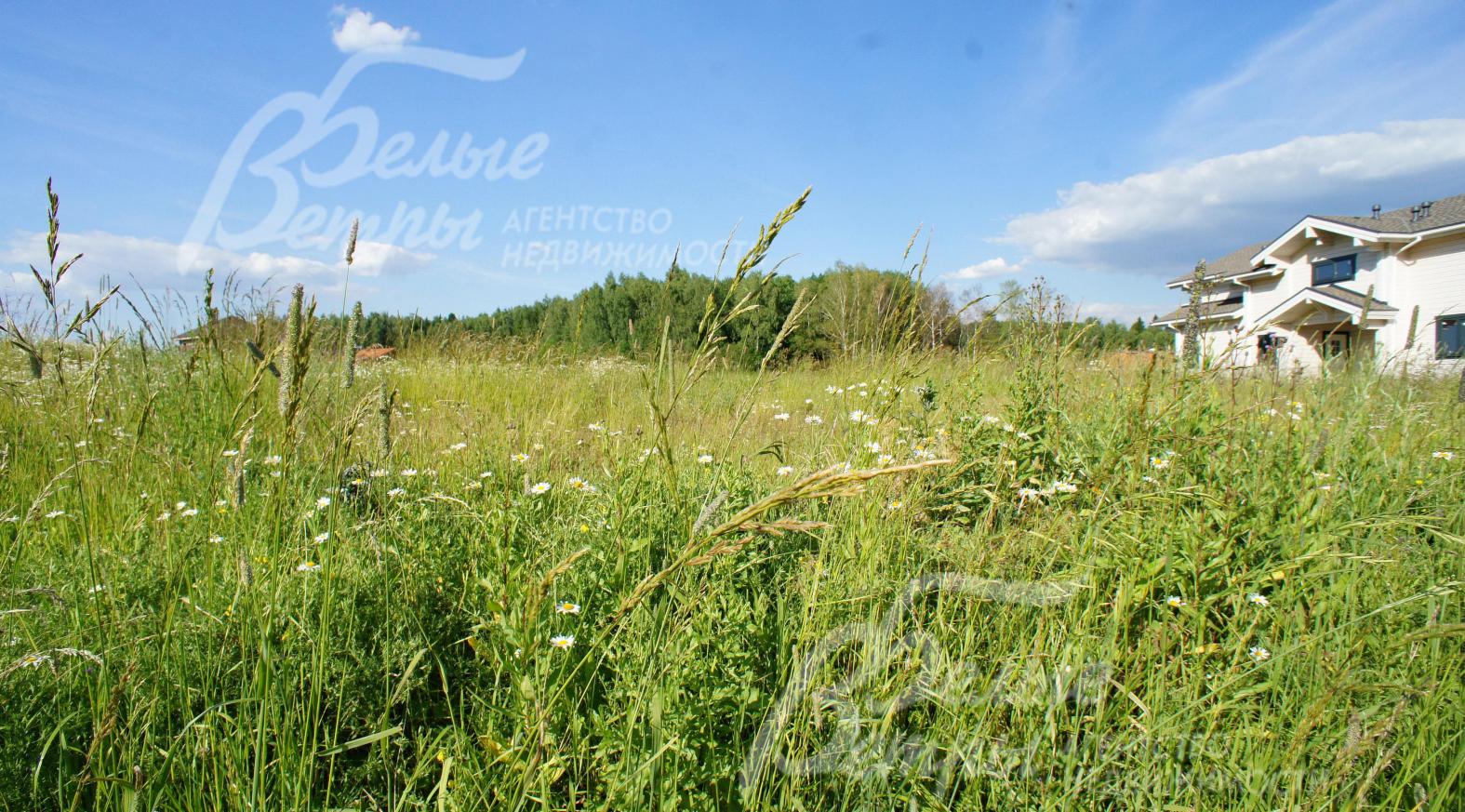 Участок 16 соток в коттеджном поселке Природный Парк Каменка