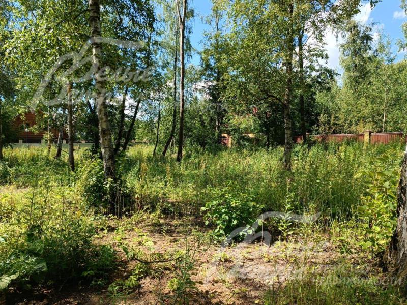 Участок 40 соток в поселке бизнес-класса