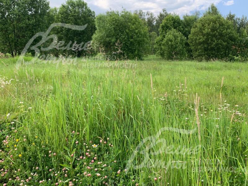 Участок 7 соток в поселке Александровы Пруды