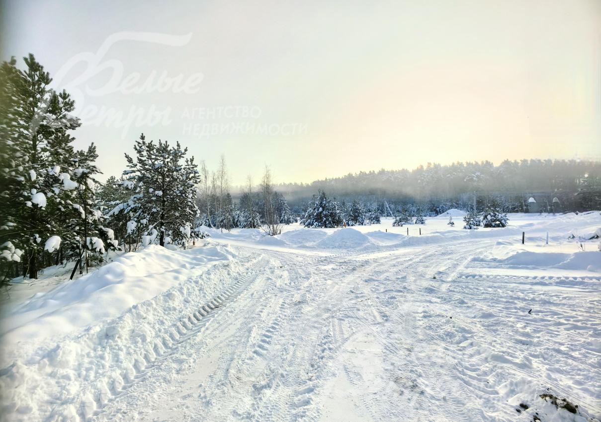 Вид с участка на лес