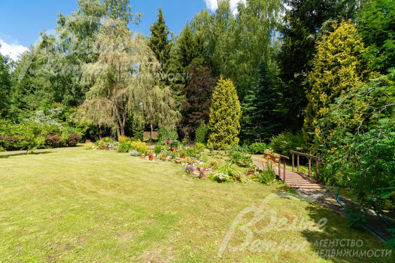 На участке многообразие лесных и декоративных деревьев и кустарников, сухой ручей