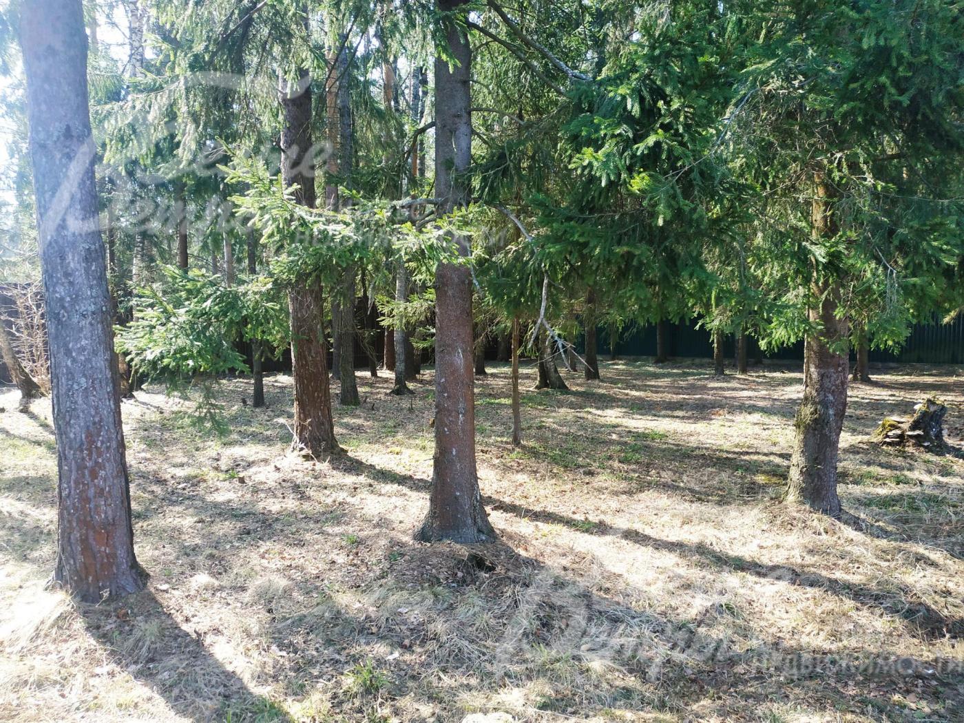 Участок площадью 20 соток в обжитом коттеджном поселке Былово