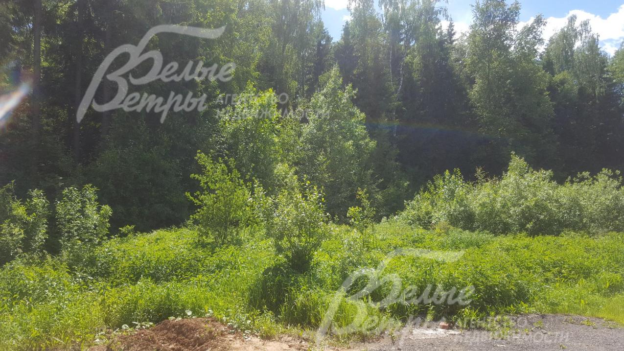 Лесной участок 20 соток в кп "Мирный" (Елизарово)