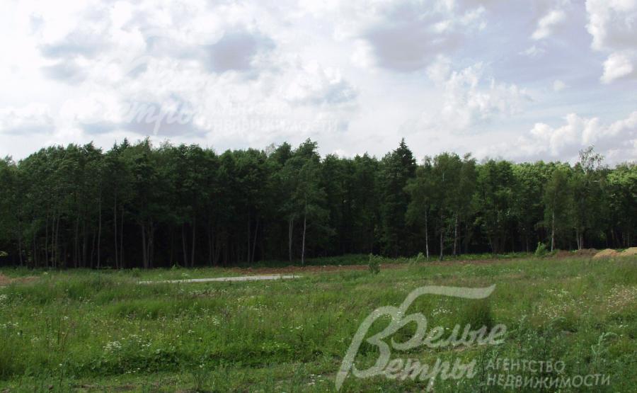 Лесной участок со всеми коммуникациями в к/п Жедочи.