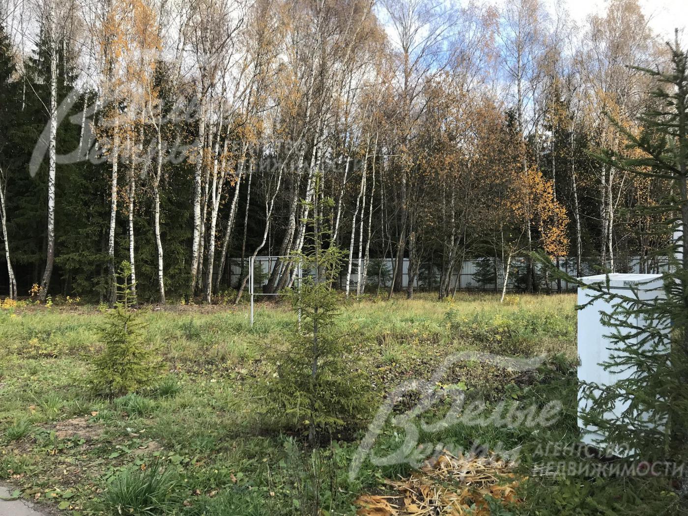 Участок лесной 15 соток в поселке Цветочный